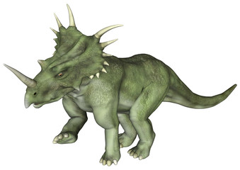 Fototapeta na wymiar Dinosaur Styracosaurus