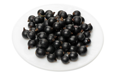 Blackcurrant