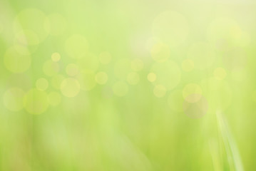 Obraz premium abstract green background and blur bokeh circles