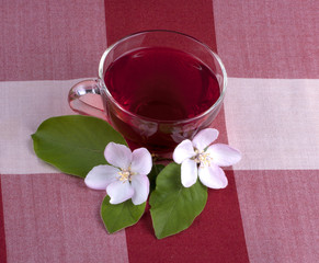 Glass cup of Hibiscus tea