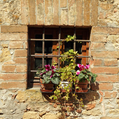 Fototapeta na wymiar zabezpieczone okno z krat i kwitnienia roślin na parapecie
