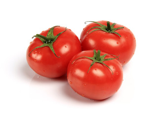Tomatoes