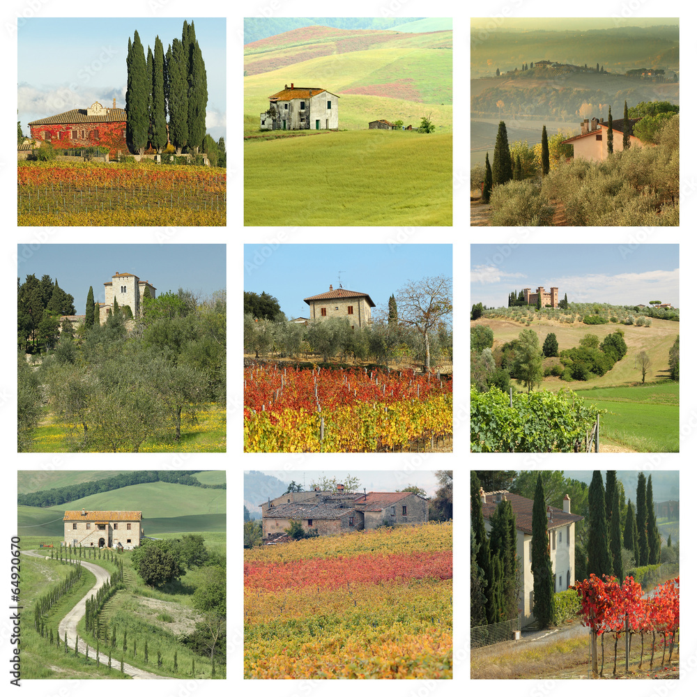 Poster houses in wonderful tuscan landscape - collage, Tuscany