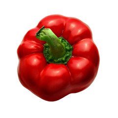 Red pepper isolated