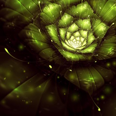 green abstract flower with sun rays