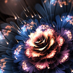 orange-blue fractal flower