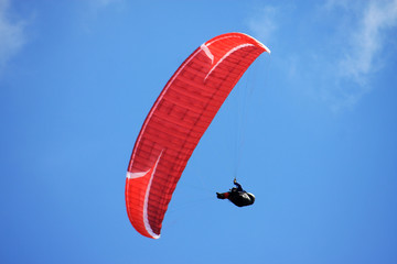 paraglider