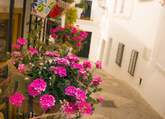 Fototapeta na wymiar Flowerpots and Flowers on a window, Old European Town