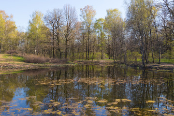spring lake