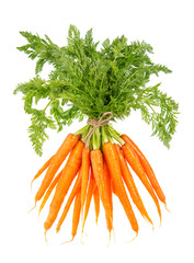 fresh carrots with green tops isolated on white
