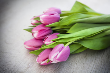 Tulpen