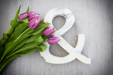 Tulpen