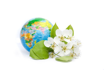 Spring blooming earth on white background