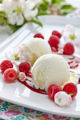 Vanilla Ice Cream with fresh berries