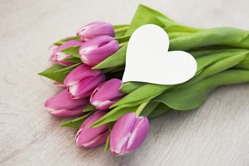 Tulpen