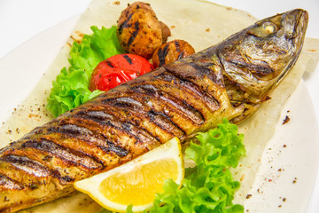 grilled fish