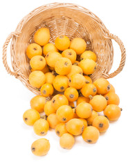 Loquat  fruits