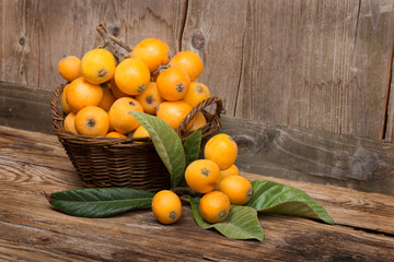 Fruits of loquat tree
