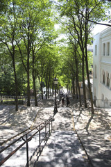 パリ　モンマルトルの丘の階段 緑の木漏れ日と陰（観光名所）