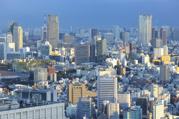 Obraz premium 夕方の東京都心の眺望（新宿・六本木・お台場方面を一望）