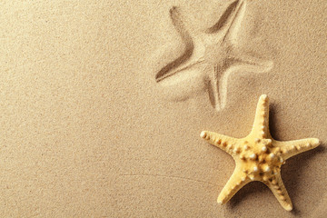 Fototapeta na wymiar Seashell with imprint on beach sand