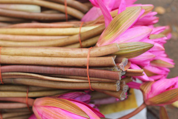 Lotus flower in the market