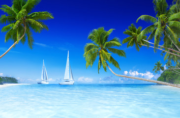 Fototapeta na wymiar Sailboats on beach and palm tree