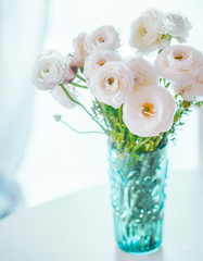 White ranunculus on pastel background