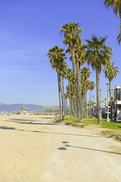 Beach Scene in Southern California