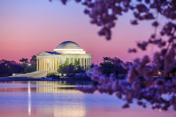 Obraz premium the Jefferson Memorial during the Cherry Blossom Festival
