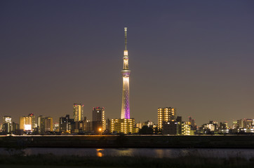Fototapeta premium 東京スカイツリー ライトアップ（雅）