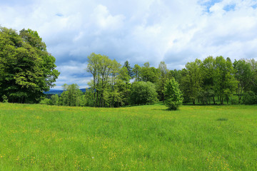 Spring Landscape in Bohemian Paradise, Czech Republic