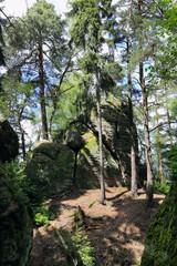 Spring Forest with Sandstone Rocks in Bohemian Paradise