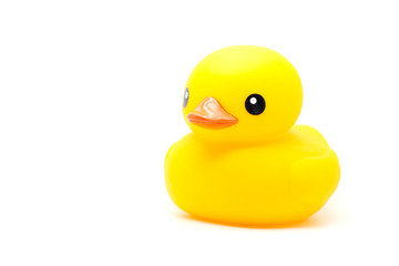 yellow rubber duck