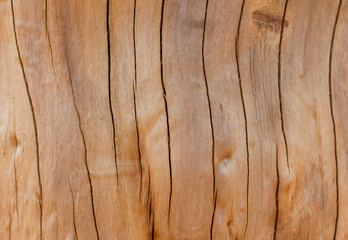 grunge wooden texture used as background