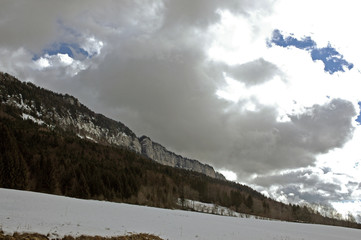 Le plateau en hiver, Parc naturel du Vercors, 38, Isere