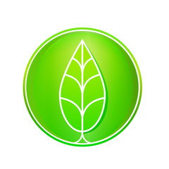 green leaf badge