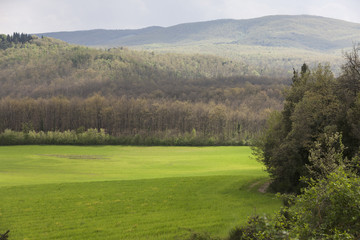 hilly landscape