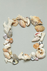 frame made ​​of shells