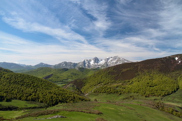 Fototapeta na wymiar Hayedos y Picos de Mampodre. Parque Regional Picos de Europa.