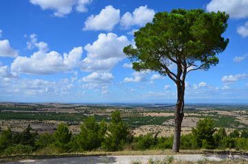 Fototapeta premium The landscape around the castle Castel del Monte