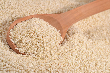 Sesame seeds in a spoon