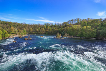 Rhine, just above the Rhine Falls