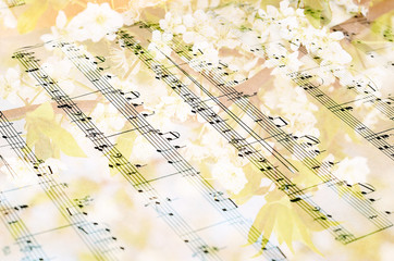 Music sheet against flowering tree- background