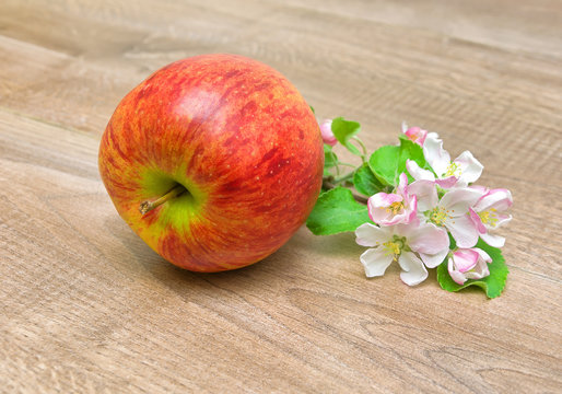 apple and blossoming branch of apple on wooden background