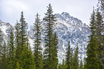 Walking in the Tien-Shan mountains