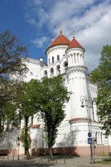 Fototapeta na wymiar Cathedral of the Theotokos,Vilnius