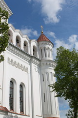 Cathedral of the Theotokos fragment,Vilnius