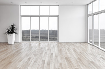 Obraz premium Empty Living room