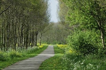 Nederlands Doorkijkje